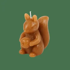 SQUIRREL Vela Ardilla Marrón|CASA