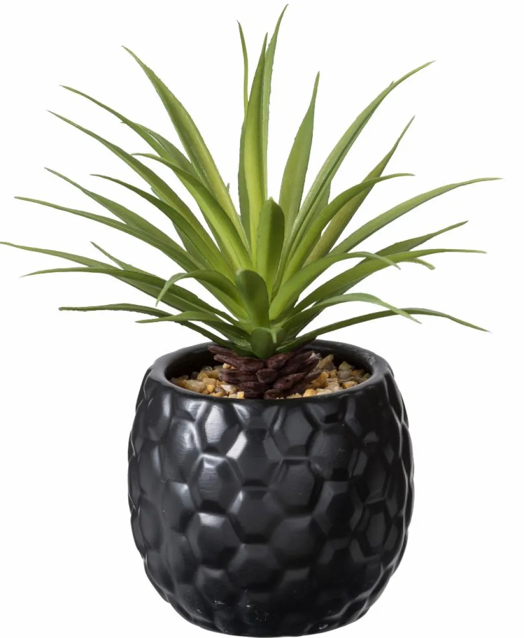 STAGGY Decoración Natural|CASA Sale