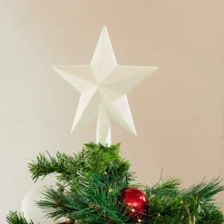 STAR Decoración Seca|CASA Best