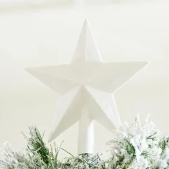 STAR Decoración Seca|CASA Best
