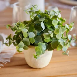 TERRA Planta En Maceta Blanco, Verde|CASA