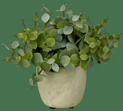 TERRA Planta En Maceta Blanco, Verde|CASA