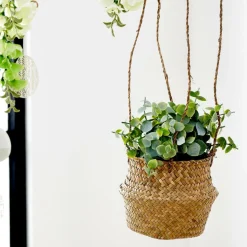 TERRA Planta En Maceta Blanco, Verde|CASA