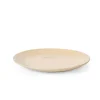TERRA Plato Beis|CASA Online