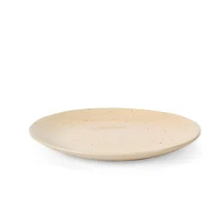 TERRA Plato Beis|CASA Online