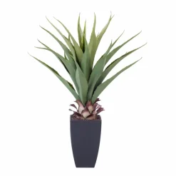VERA Planta Crasa En Un Palillo Verde|CASA Clearance