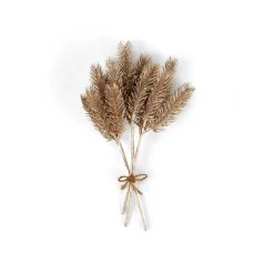 WILLOW Corona Natural|CASA Hot