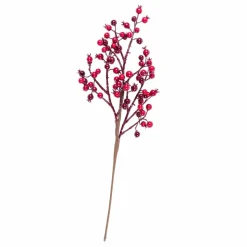 WILLOW Corona Natural|CASA Hot